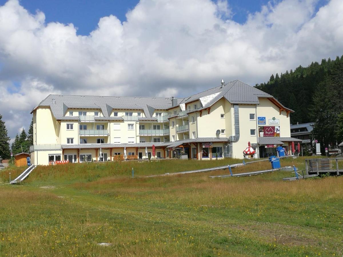 Residenz Grafenmatt, Feldberg * Feldberg (Baden-Wurttemberg)
